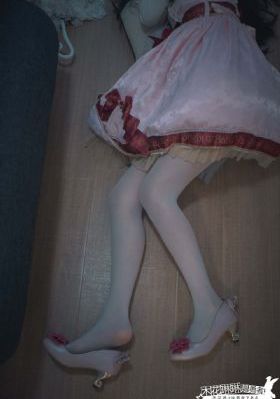 九重紫多少集
