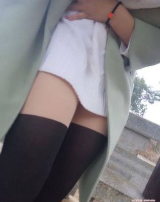 九重紫免费观看全集