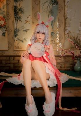 茶杯孤cupfox