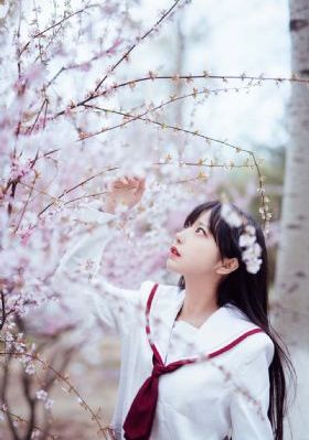 威尼斯之旅电影